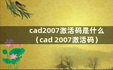 cad2007激活码是什么（cad 2007激活码）